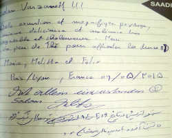 دیدگاه مهمان ها